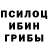 Галлюциногенные грибы мицелий Khalil Barnett