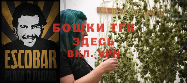 молекула духа Алексин
