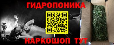 хмурый Тара