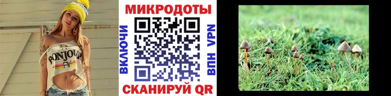 Галлюциногенные грибы мухоморы  OMG зеркало  Невинномысск 