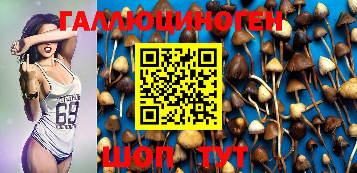 Псилоцибиновые грибы Magic Shrooms  Вход с VPN  что такое наркотик  Невинномысск 